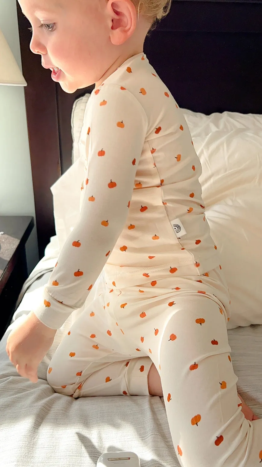 Long Sleeve 2 Piece PJ Set - Pumpkins